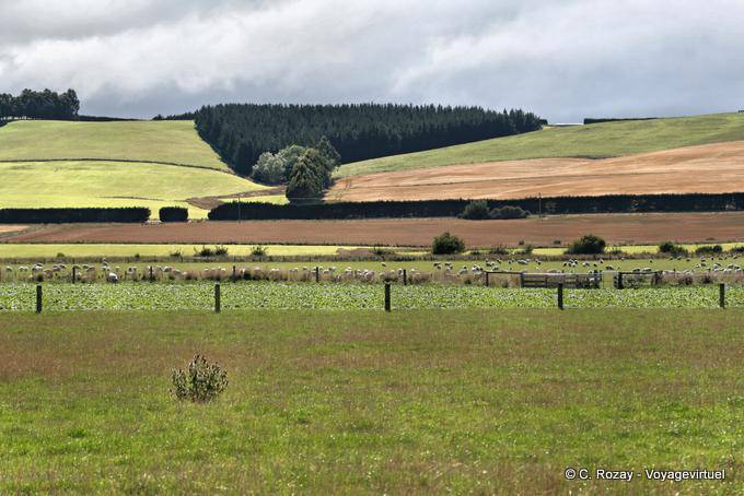 Lumsden Lumières, Otago - Nouvelle-Zélande