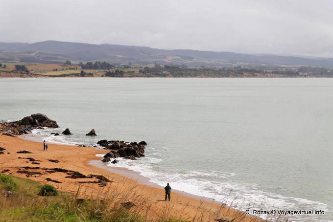 Landscape, Moeraki, Otago - Nouvelle-Zélande