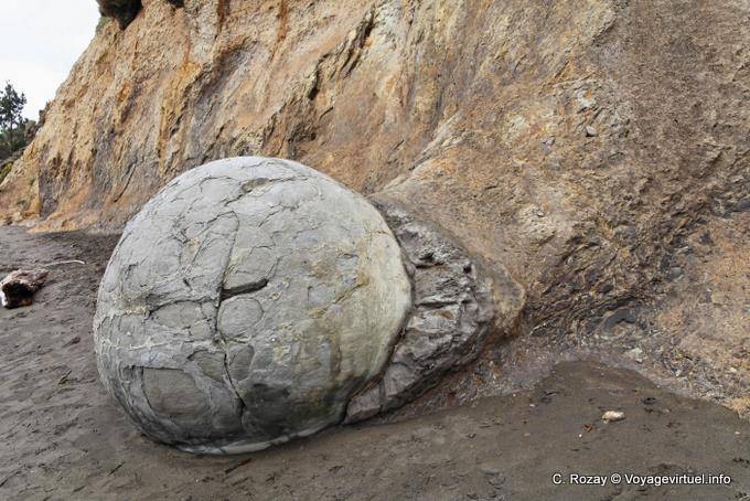 Septarian concretions, Moeraki Boulders Scenic Reserve, Otago - Nouvelle-Zélande
