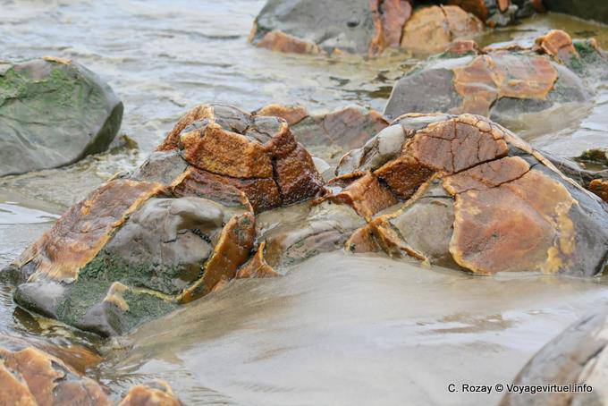 Concretions colorées, Moeraki Boulders Scenic Reserve, Otago - Nouvelle-Zélande