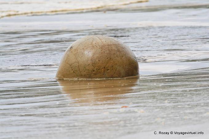 Ile sphérique, Moeraki Boulders Scenic Reserve, Otago - Nouvelle-Zélande