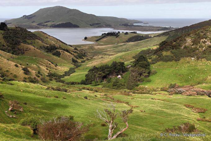 Otago Peninsula Dunedin Panorama Sheppard Road - Nouvelle-Zélande