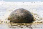 Moeraki Boulders Moeraki Scenic Reserve, Otago, Nouvelle-Zélande.