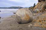 Globe de pierre, Moeraki Boulders Scenic Reserve, Otago, Nouvelle-Zélande.