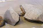 Brisure sur 60 millions d'années, Moeraki Boulders Scenic Reserve, Otago, Nouvelle-Zélande.