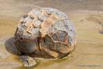 Coeur de boule, Moeraki Boulders Scenic Reserve, Otago, Nouvelle-Zélande.