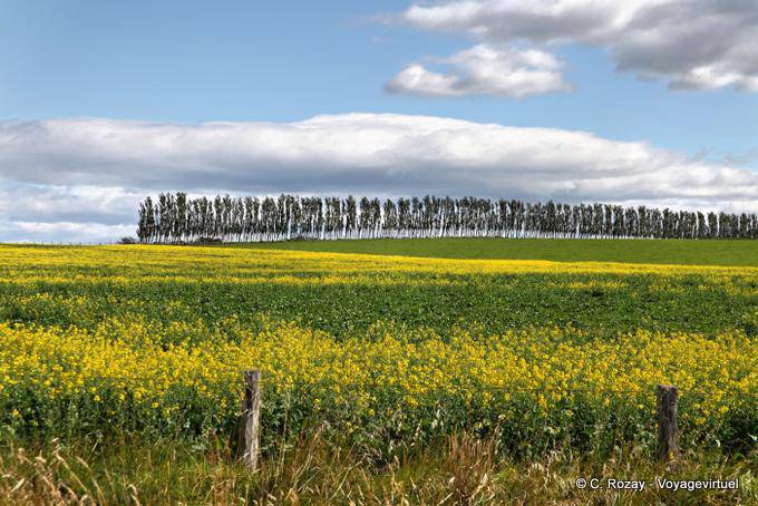 Invercargill Road to Otautau, Southland - Nouvelle-Zélande