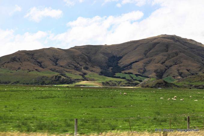 Monts et moutons, Queenstown Road to Invercargill, Southland - Nouvelle-Zélande