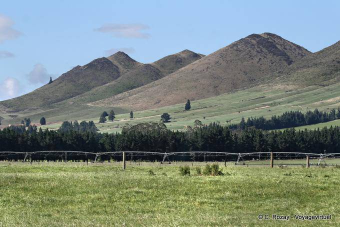 Collines en pente douce, Lowther, Road From Te Anau to Lumsden, Southland - Nouvelle-Zélande