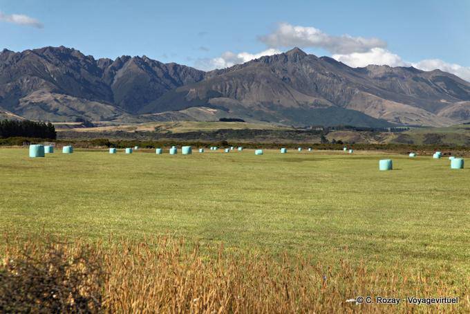 Culture dans la plaine, Road From Te Anau to Lumsden, Southland - Nouvelle-Zélande