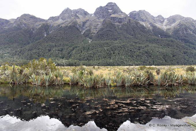 Mirror Lakes Eglinton River, Road Te Anau to Milford Sound, Southland - Nouvelle-Zélande