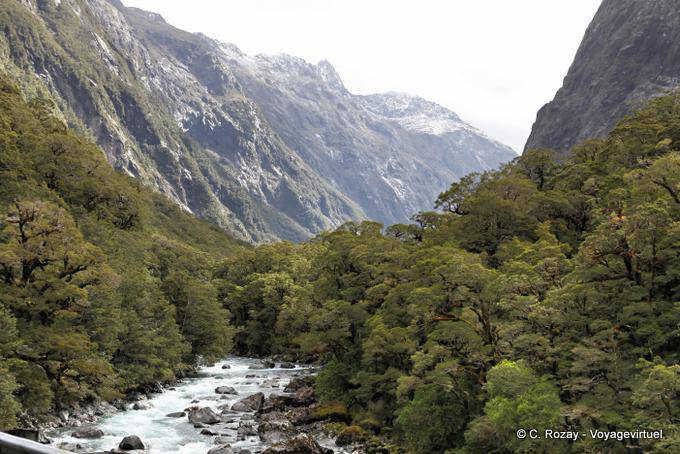 Rivière dans la vallée Eglinton, Road Te Anau to Milford Sound, Southland - Nouvelle-Zélande