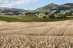 Clinton, Otago, Nouvelle-Zélande.