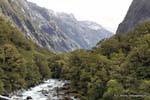 Rivière dans la vallée Eglinton, Road Te Anau to Milford Sound, Southland, Nouvelle-Zélande.