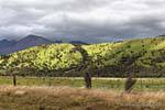 Eclat de soleil sur les collines, Road Te Anau to Milford Sound, Southland, Nouvelle-Zélande.