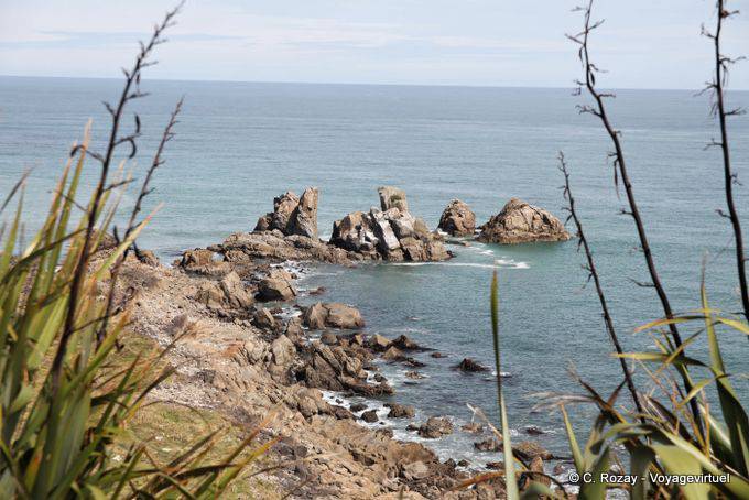 Rochers disloqués à la pointe, Cap Foulwind, Westcoast - Nouvelle-Zélande