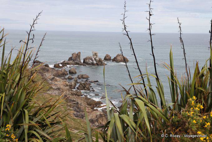Cap Foulwind, Westcoast - Nouvelle-Zélande