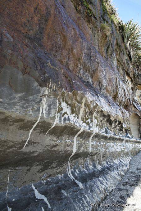 Strates de falaise, Paparoa Park, Truman Track, Westcoast - Nouvelle-Zélande