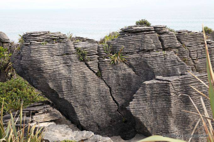 Curieuse formation calcaire des Pancake Rocks, Punakaiki, Westcoast - Nouvelle-Zélande