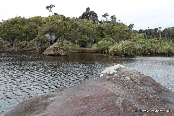Vers le Tauperikaka Point, Ship Creek, Westcoast - Nouvelle-Zélande