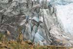 Mélodie glaciaire des Alpes du Sud en NZ, Fox Glacier, Westcoast, Nouvelle-Zélande.