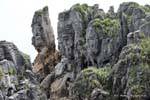 Stacks en cours de construction, Punakaiki, Westcoast, Nouvelle-Zélande.