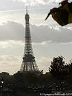 Vue penchée sur la Tour Eiffel, Paris, France.