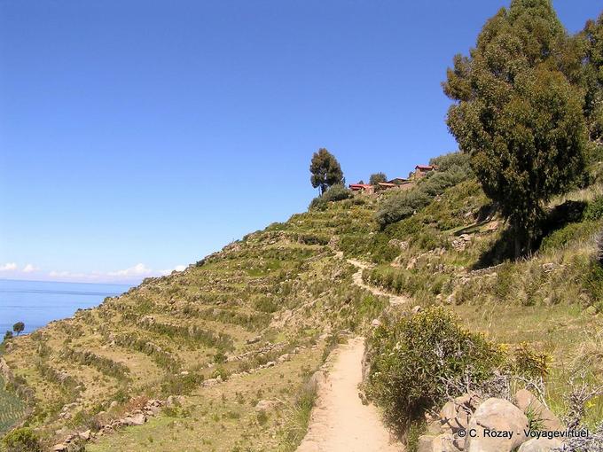 Chemin entre les terrasses agricoles sur un coteau, Île Taquile, Titicaca -Pérou