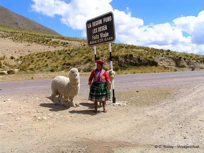 Lamas à la Raya, altitude 4335m, Puno les desea feliz viaje -Pérou