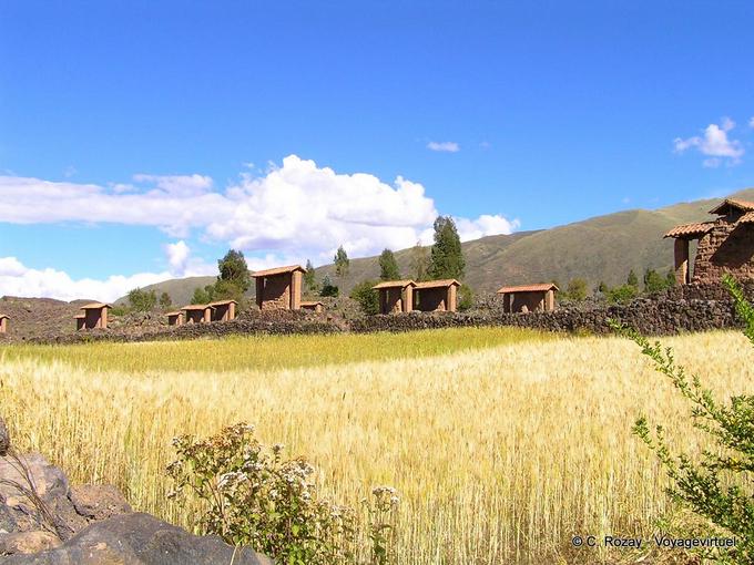 Raq'chi Wiracocha temple et quinoa -Pérou