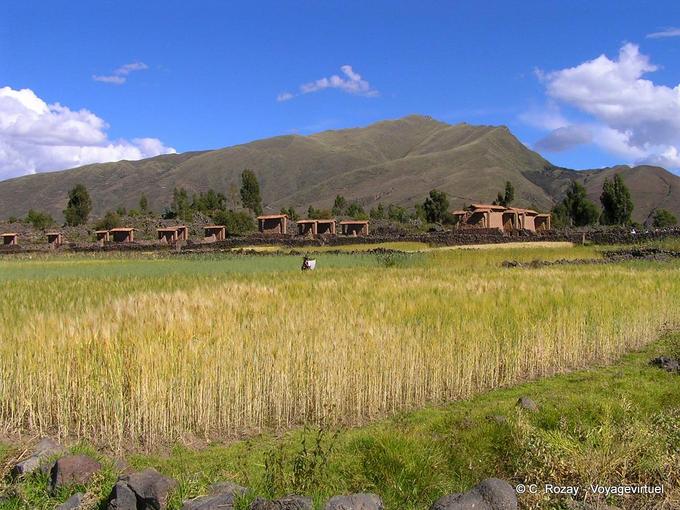 Panorama sur Raq'chi -Pérou