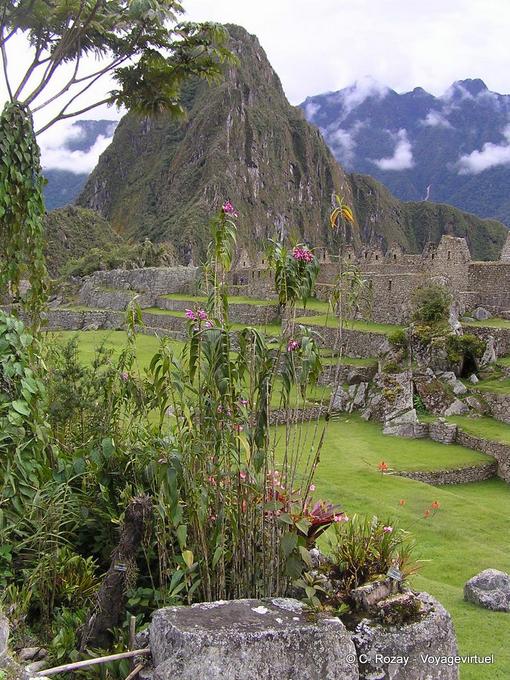 Vestiges de bâtiments dans un cadre bucolique, Machu Picchu -Pérou