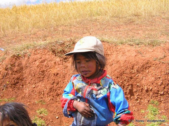 Myrtilles, la petite péruvienne de Moray -Pérou