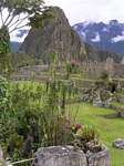 Vestiges de bâtiments dans un cadre bucolique, Machu Picchu, Pérou.
