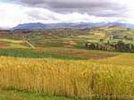 Mosaique de couleurs réalisée par les champs cultivés vers Chinchero, Pérou.