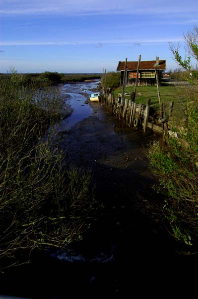 Canal
Maison de pêcheur sur le Bassin d'Arcachon
Nikon D100
Mots-clés: Arcachon canal maison eau