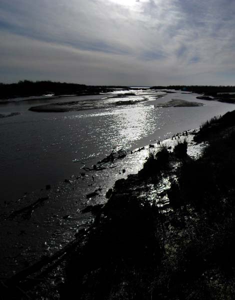Maree basse
Bassin d'Arcachon  à marée basse
Nikon D100
Mots-clés: eau reflet Arcachon
