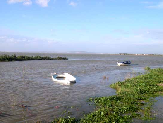 Palavas les Flots - Inondations de décembre 2003
Mots-clés: Palavas-les-flots inondations
