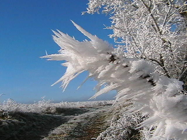 Givre en Haute Marne, 28 décembre 2006
Mots-clés: Langres