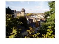 Château de Laval~0.jpg