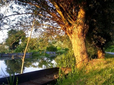 Ballade dans les marais de Bourges
Marais de Bourges dans le Cher
Mots-clés: Bourges marais ballade Cher