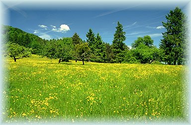 paysage
