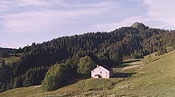 cret de chalam
haut jura
Mots-clés: Chalam Jura