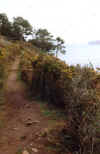 chemin1_petit.jpg