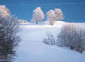 hiver
