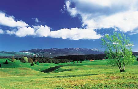 paysage jurassien
un régal pour les balades
Mots-clés: Jura
