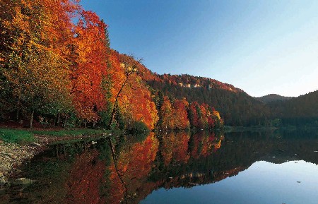 paysage du jura
l'automne
