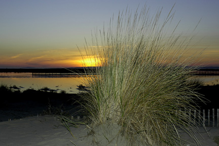 L'espiguette
coucher de soleil au Grau du Roi
Mots-clés: espiguette gard mer soleil