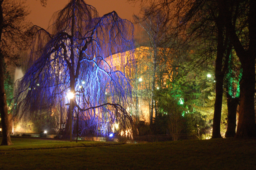L'arbre bleu du tribunal de Metz
Mots-clés: Metz