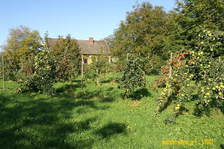 Ferme des Authieus
Ferme au milieu des pommiers couvert de fruits
